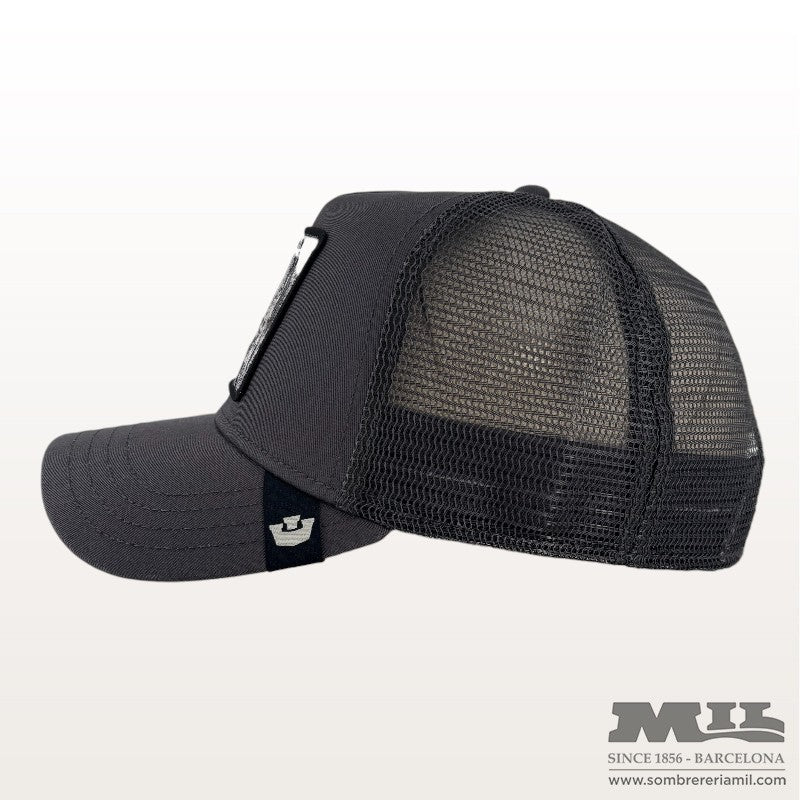 Gorra Silver Fox | Goorin Bros - Imagen 5